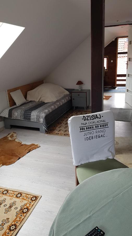 Turystyczny Apartament Na Poddaszu Skoczów Εξωτερικό φωτογραφία